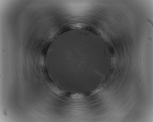 X0000097490331200803142003