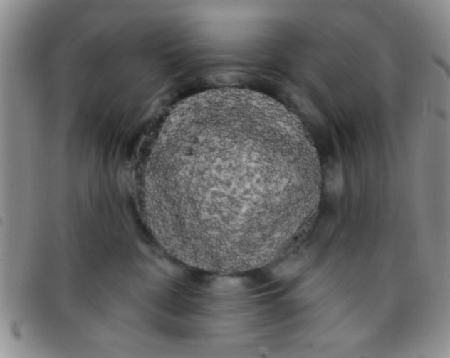 X0000097490332200803142002