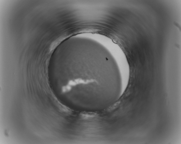 X0000097490337200803142002