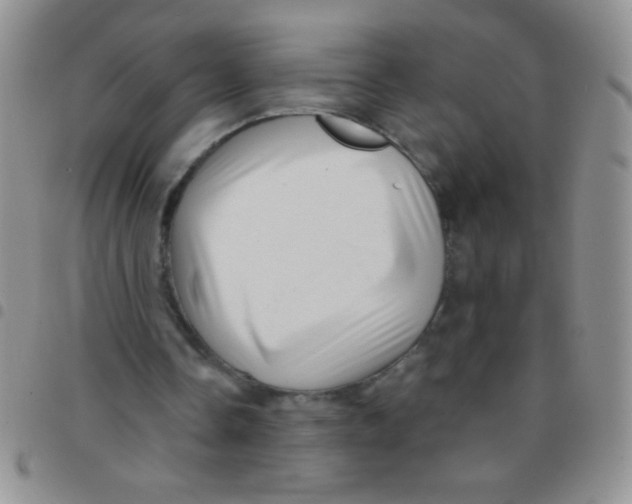 X0000097490338200803142002