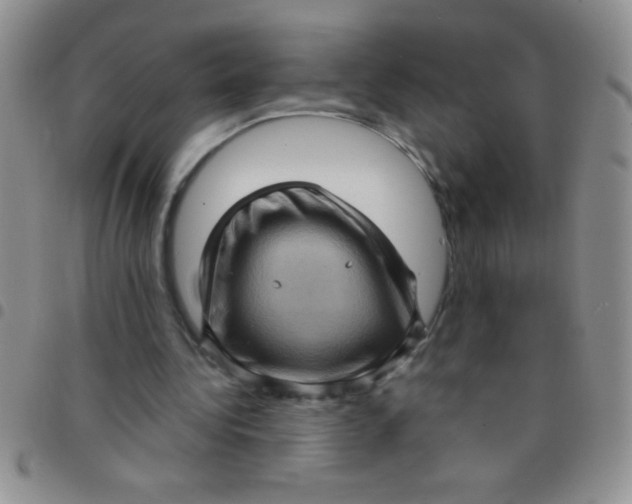 X0000097490340200803142002