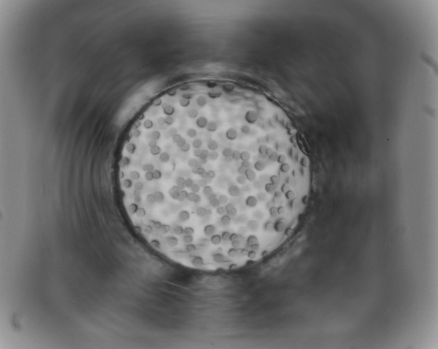 X0000097490341200803142002