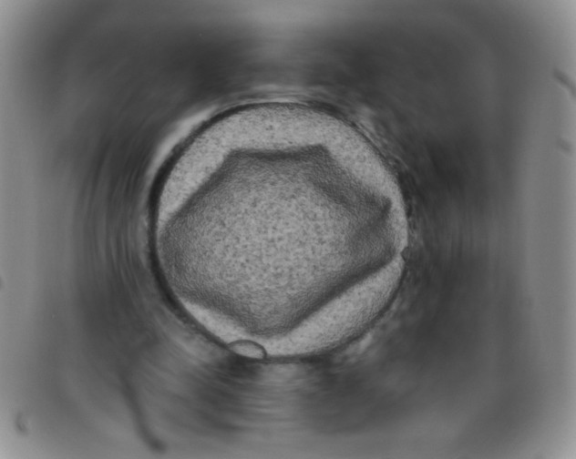 X0000097490342200803142002