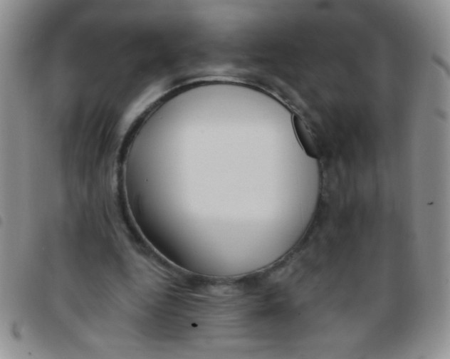 X0000097490344200803142002