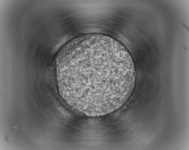 X0000097490345200803142002