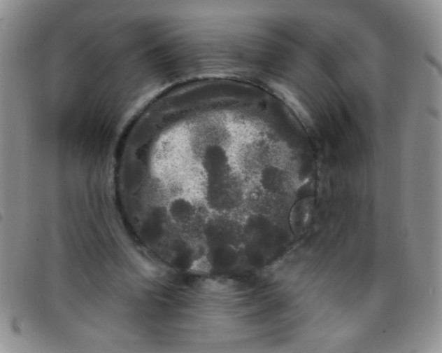 X0000097490346200803142002