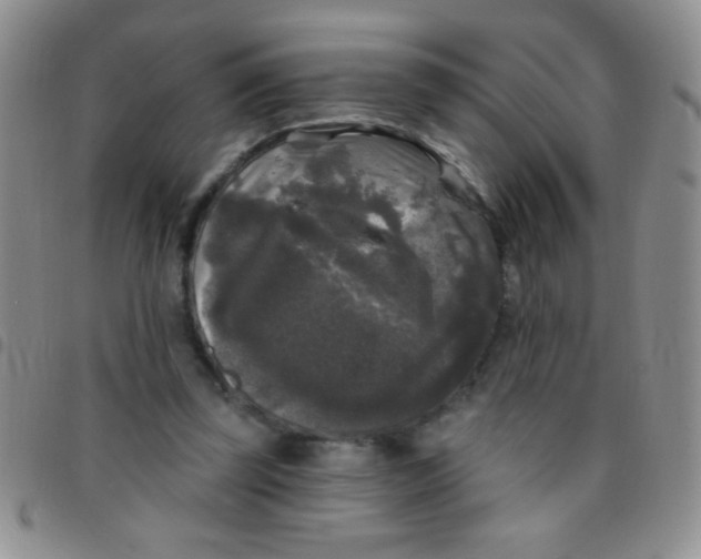 X0000097490347200803142002