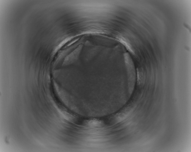 X0000097490348200803142002