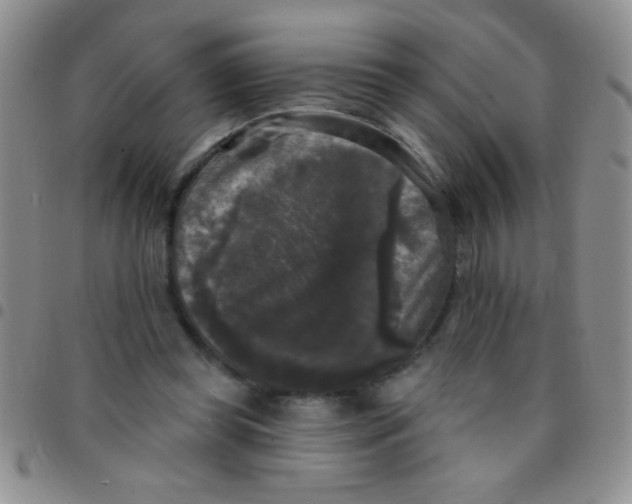 X0000097490349200803142002