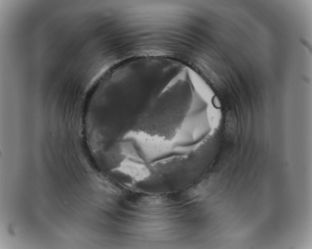 X0000097490351200803142002