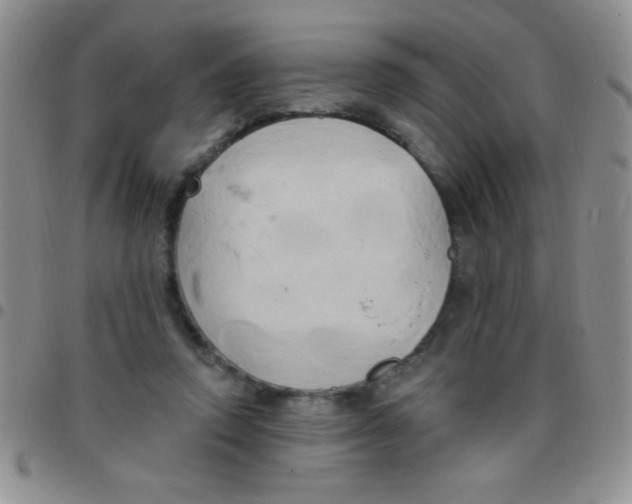 X0000097490354200803142002