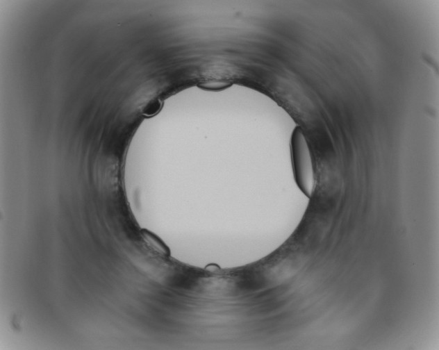 X0000097490356200803142002