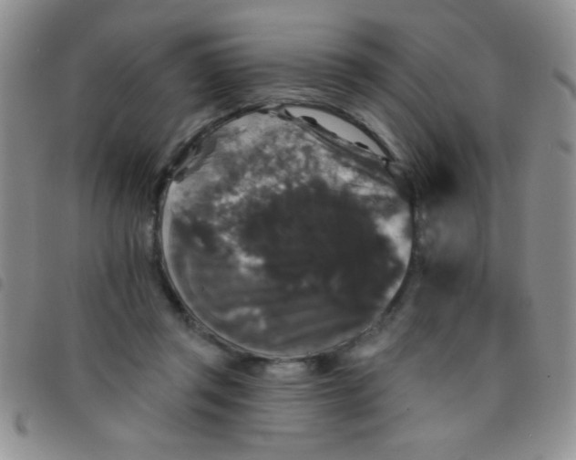 X0000097490357200803142002