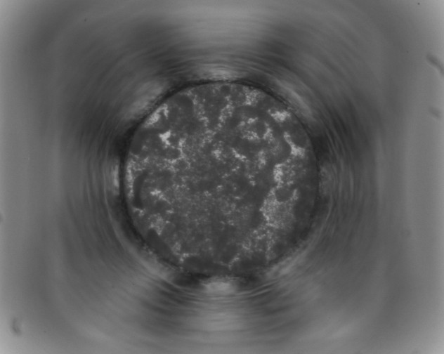 X0000097490358200803142002