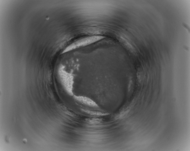 X0000097490359200803142002