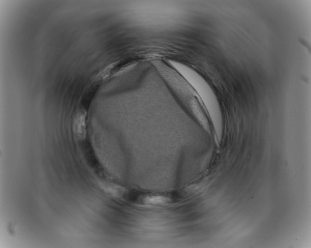 X0000097490360200803142002