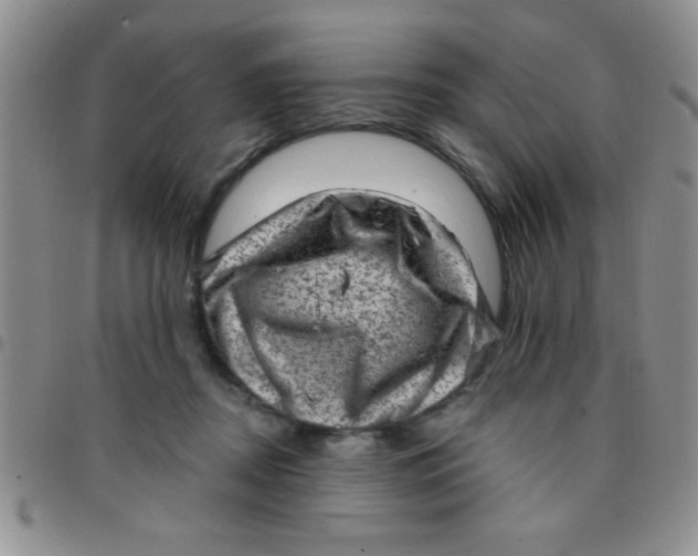 X0000097490362200803142002