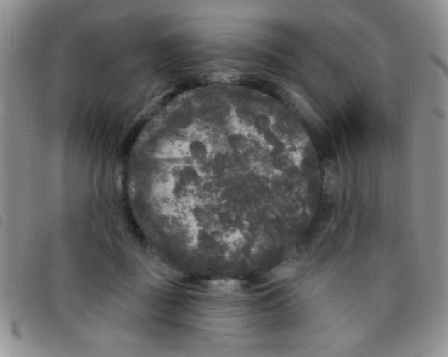 X0000097490363200803142002