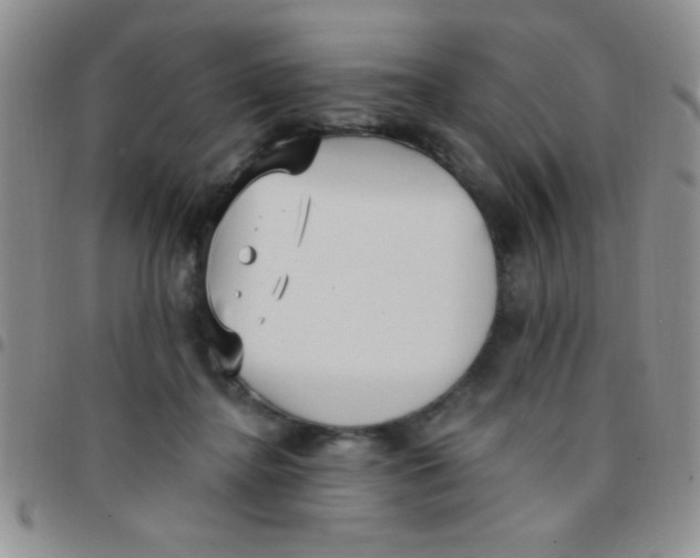 X0000097490364200803142002