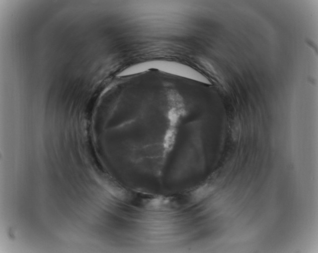 X0000097490366200803142002