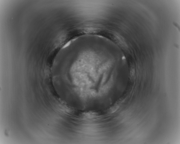 X0000097490367200803142002