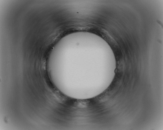 X0000097490368200803142002