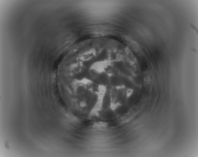 X0000097490369200803142002