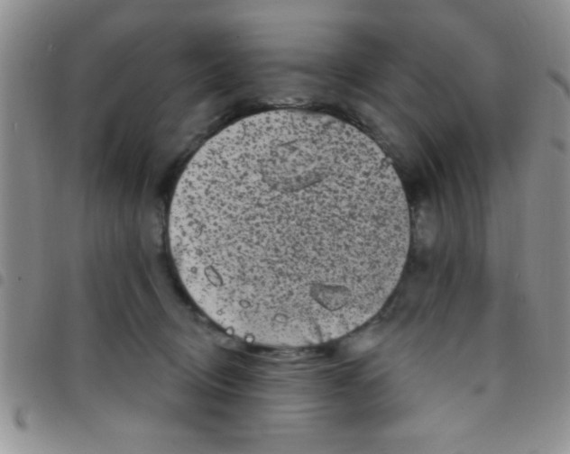 X0000097490370200803142002