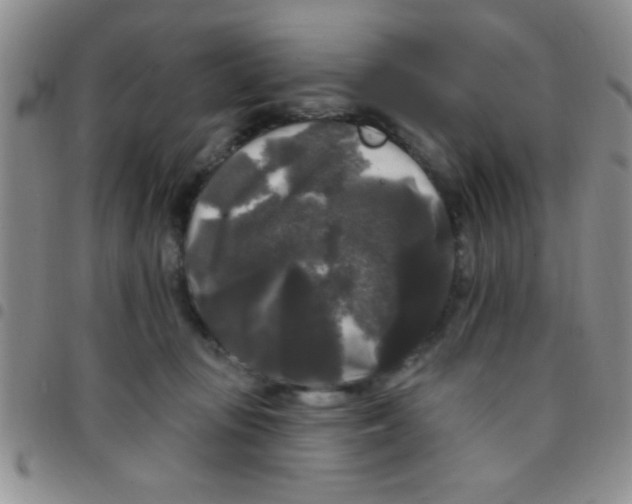 X0000097490371200803142002