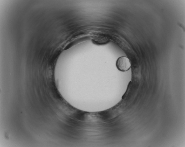 X0000097490372200803142002