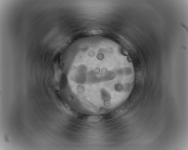 X0000097490373200803142002