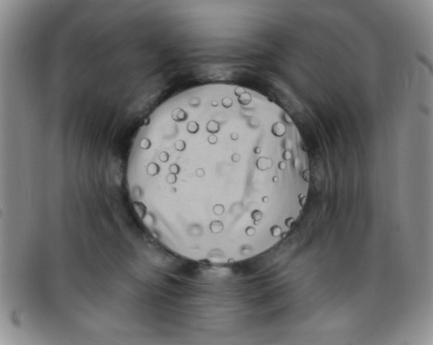 X0000097490374200803142002