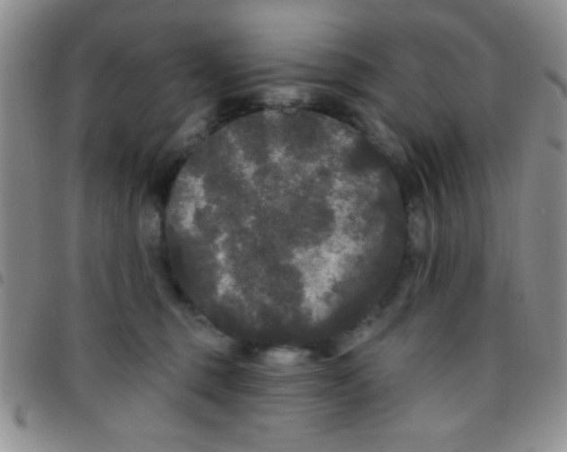 X0000097490375200803142002