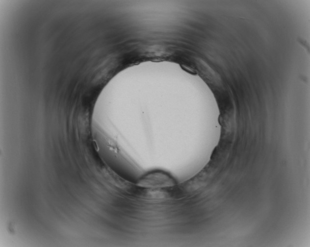 X0000097490376200803142002