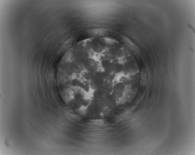 X0000097490377200803142002