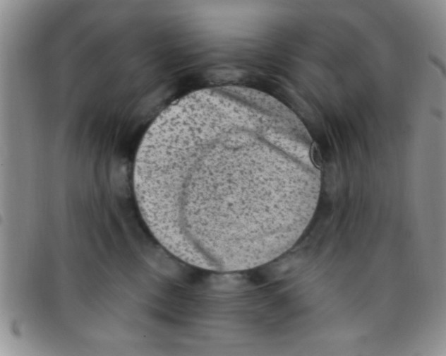 X0000097490378200803142002