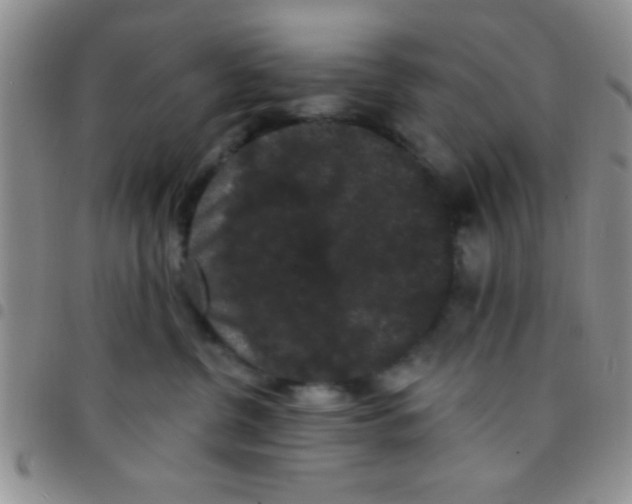 X0000097490380200803142002