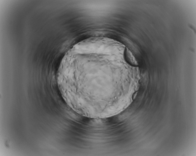 X0000097490381200803142002