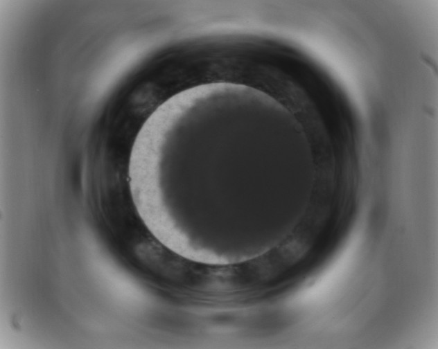 X0000097490382200803142002