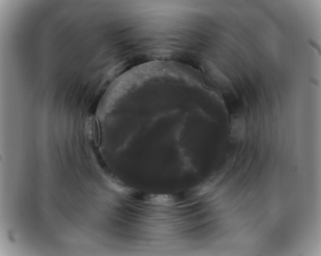 X0000097490383200803142002