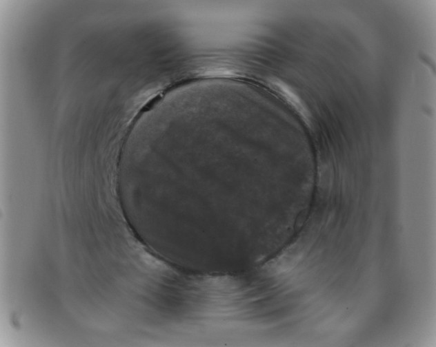 X0000097490385200803142002