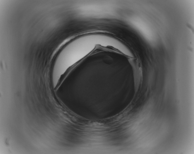 X0000097490387200803142002