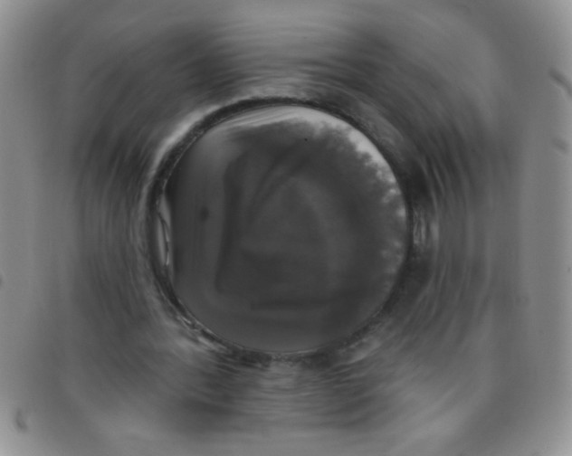 X0000097490388200803142002