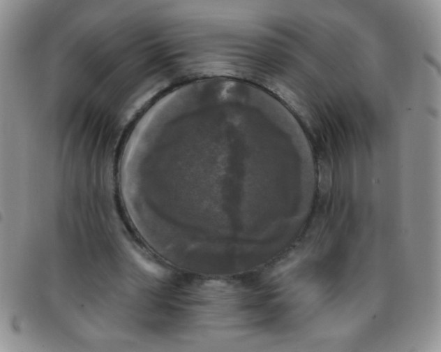 X0000097490390200803142002