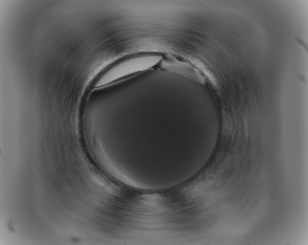 X0000097490391200803142002