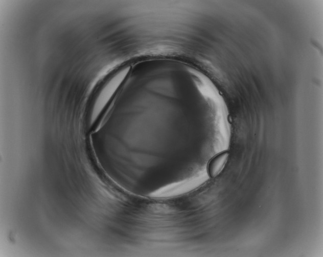 X0000097490392200803142002