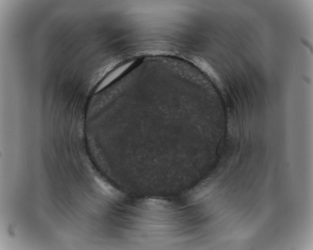 X0000097490393200803142002