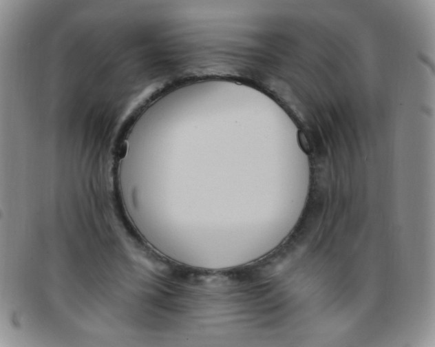 X0000097490395200803142002