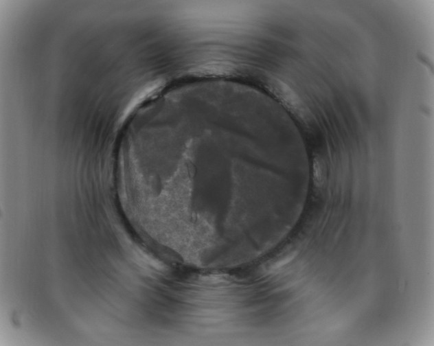 X0000097490396200803142002