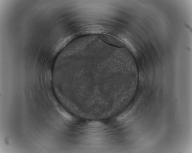 X0000097490397200803142002